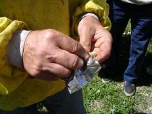 cours du syndicat d'apiculture du limousin l'abeille limousine