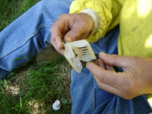 cours du syndicat d'apiculture du limousin l'abeille limousine