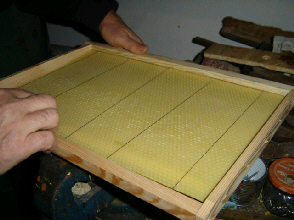 cours d'apiculture syndicat limoges